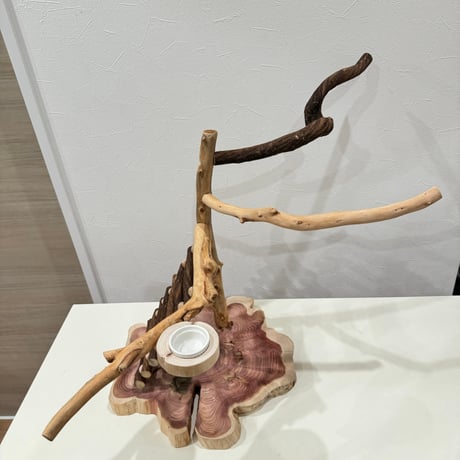 自然木（ツタ・貝塚伊吹）とハシゴのバードアスレチック【インコのおもちゃ・自然木のとまり木】