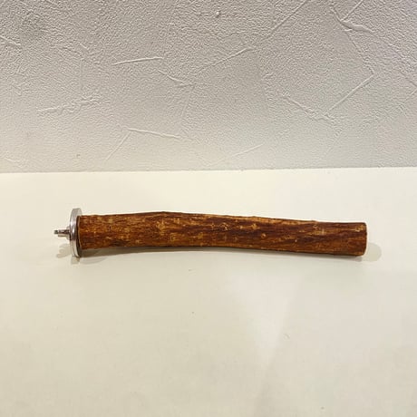 自然木（ツタ）パーチ 直径約2cm/長さ17cm