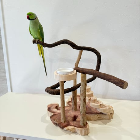 螺旋階段とツタパーチのバードアスレチック【インコのおもちゃ・自然木のとまり木】
