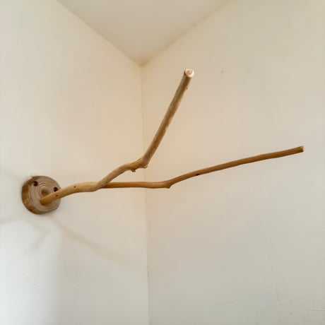 桧のピノキオの鼻②