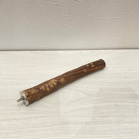 自然木（ツタ）パーチ⑤ 直径2.4cm/長さ20.5cm