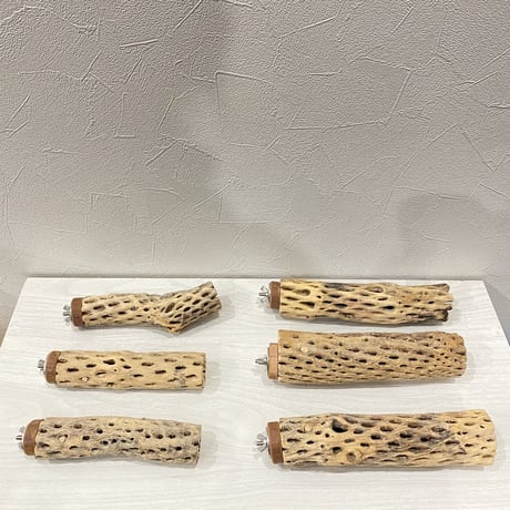 【えみみん様専用】カクタスパーチ小15cm 中20cm