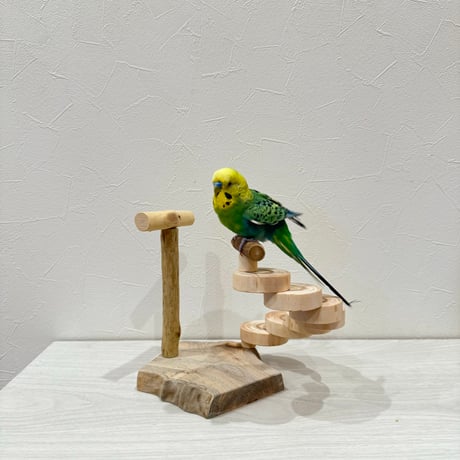 螺旋階段のミニアスレチック③【インコのおもちゃ・自然木のとまり木】