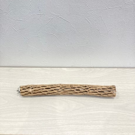 カクタスパーチ小① 直径約3~4cm 長さ30cm