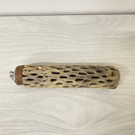 カクタスパーチ② 小サイズ 直径（約3-4cm）長さ/15cm