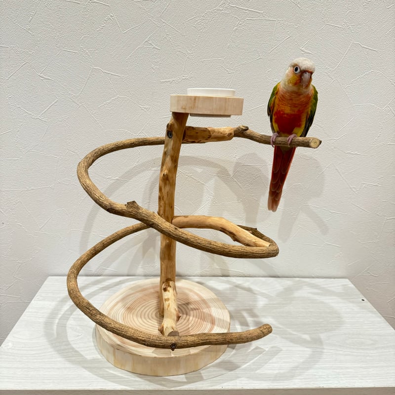ツタのぐるぐるバードアスレチック【インコのおもちゃ・自然木の