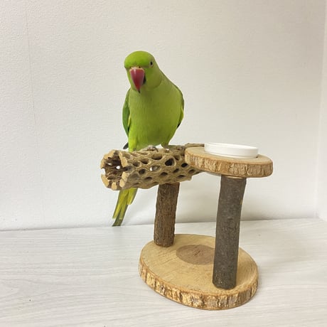 【makie_hosoda様専用】カクタスのT字スタンドパーチ・おやつ入れ付きテーブルパーチ