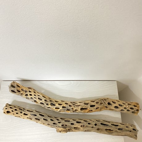 【miru様専用】ケージサイズカクタスパーチ 中直径約5.5cm/59.5cm