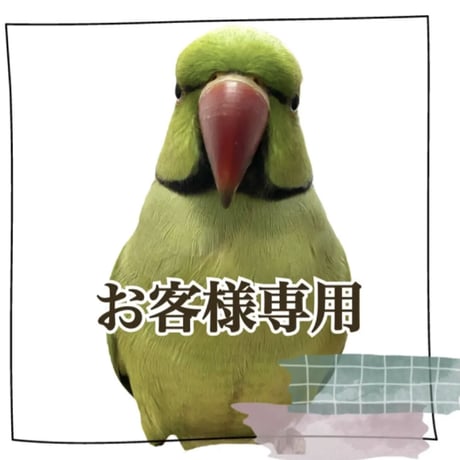 【6misa6misa6様専用】おしゅし屋さんカウンタースタンド