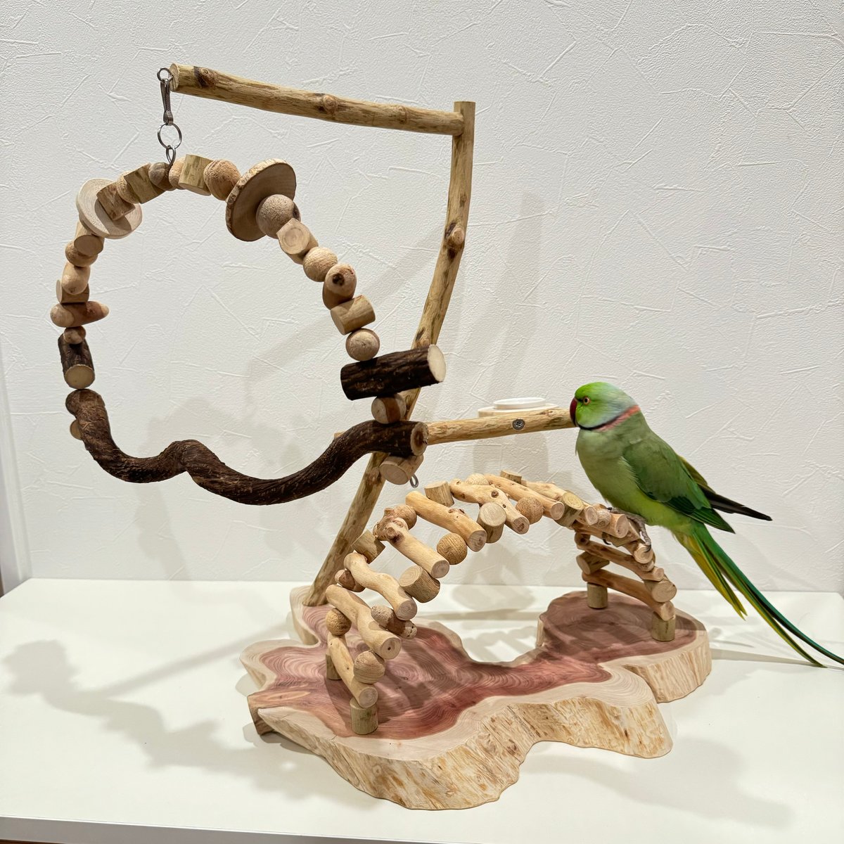 螺旋階段とトンネルアーチのバードアスレチック【インコの