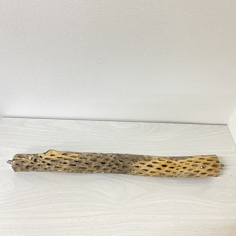 ケージサイズカクタスパーチ④ 小サイズ直径3-4cm HOEI465サイズ