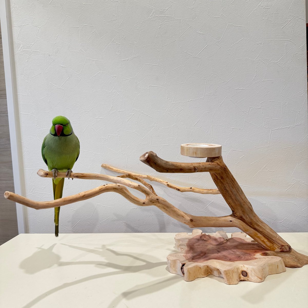 貝塚伊吹おやつ入れ付きスタンドパーチ 【インコ 自然木 止まり木