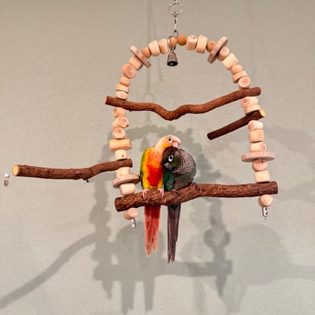 ポテトヘッドくん　ツタステンレスベルのカスタムブランコ【自然木 天然木 止まり木インコ・小鳥のおもちゃ】