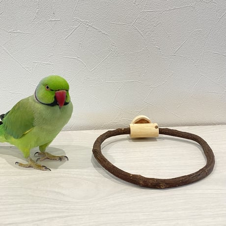 自然木（ツタ）のドーナツパーチビック 【B】パーチ直径1cm／円直径16.5×16cm