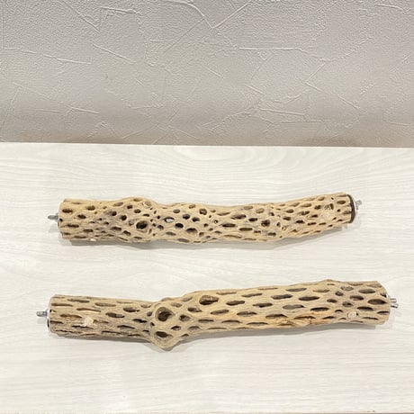 【sora_pyonpyon様専用】カクタスパーチ  極小/27.5cm