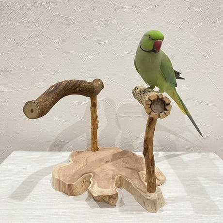 ツタとカクタスの殿様スタンドパーチ①【インコのおもちゃ・自然木のとまり木】