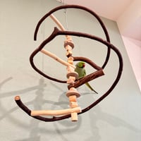 コトリのなる木カスタム　つり下げゆらゆらバードアスレチック【インコ・オウムのおもちゃ・自然木の止まり木】
