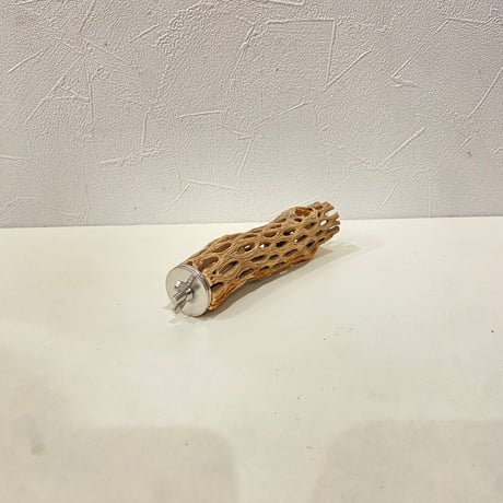 カクタスパーチ① 直径約3cm/長さ13cm