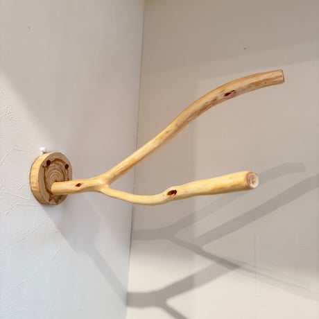 桧のピノキオの鼻①