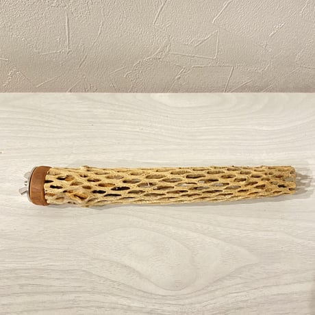【maoco03様専用】ケージサイズカクタスパーチ 極小20cm