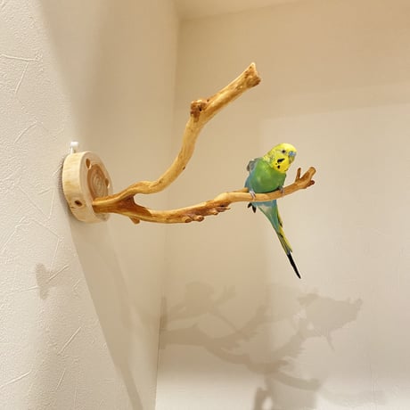 ピノキオの鼻 ⑤