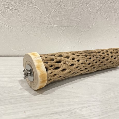 カクタスパーチ⑧ 中直径約5.5cm/25.5cm