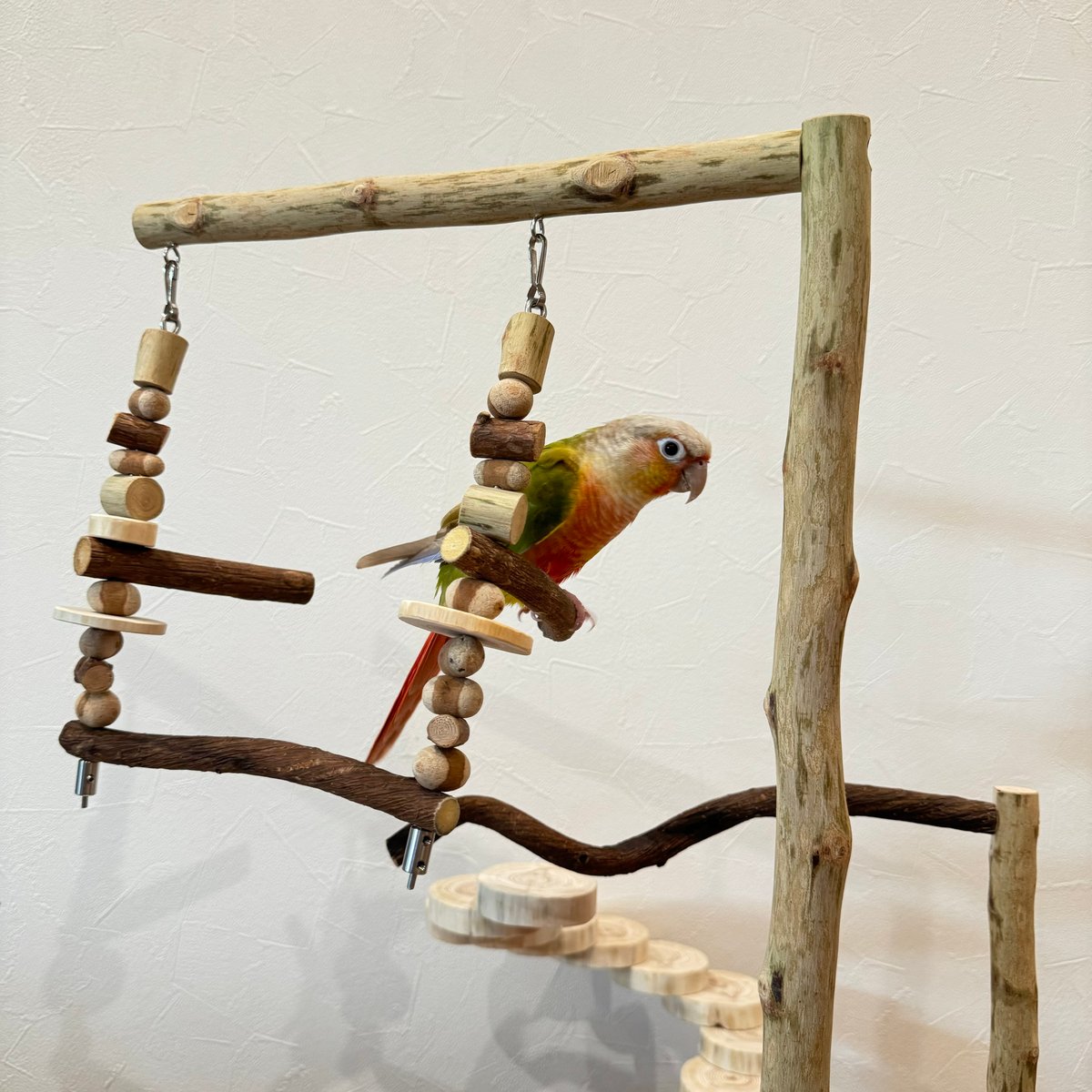 螺旋階段とハイジブランコのバードアスレチック【インコのおもちゃ