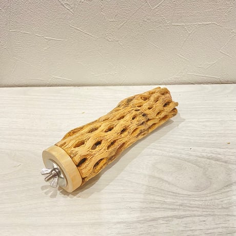 カクタスパーチ【23】直径4~5cm/長さ16cm