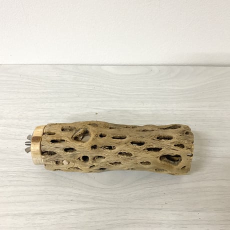 カクタスパーチ 中サイズ⑤ 直径（約5.5cm）長さ/15cm