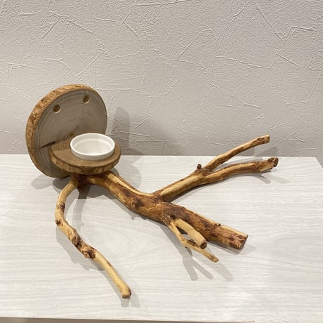ピノキオの鼻