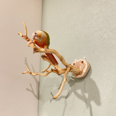 ピノキオの鼻 ②