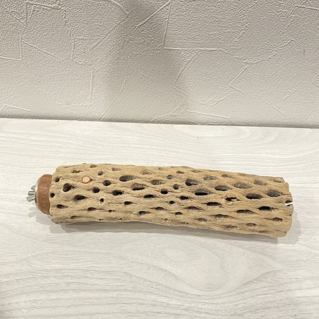 【I様専用】カクタスパーチ 中20cm