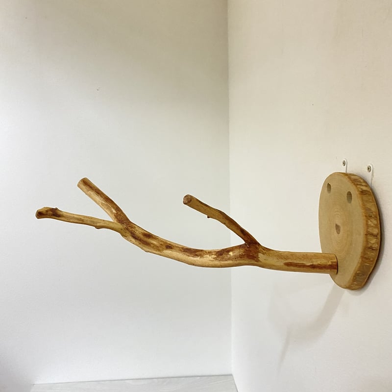 ピノキオの鼻 ⑦ | 自然木の鳥用品 鳥豆堂【トリマメドウ】バード
