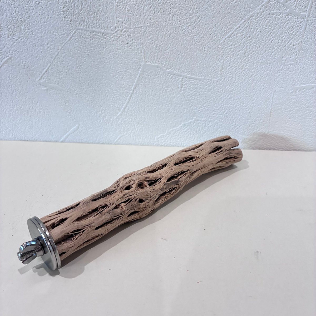 カクタスパーチ極小サイズ⑰ 直径2.5~3cm/長さ15cm【自然木 止まり木
