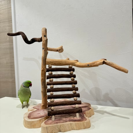 自然木（ツタ・貝塚伊吹）とハシゴのバードアスレチック【インコのおもちゃ・自然木のとまり木】