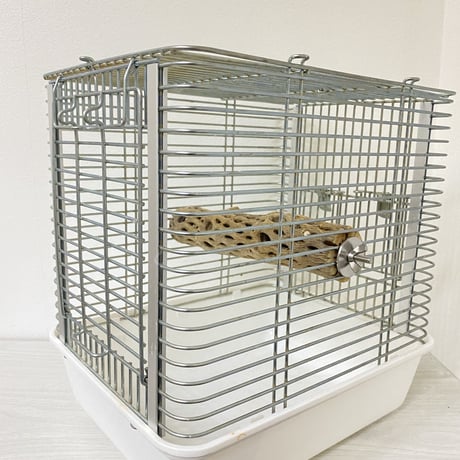 ハートフルキャリーサイズ カクタスパーチ③ 小サイズ直径3-4cm