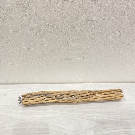 カクタスパーチ③  極小 直径約3cm 長さ30cm