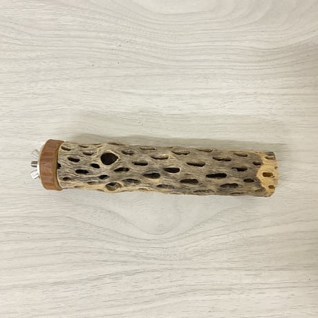 カクタスパーチ⑥ 極小サイズ 直径（約2-3cm）長さ/15cm