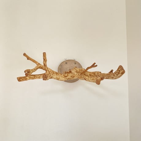 ピノキオの鼻 ④