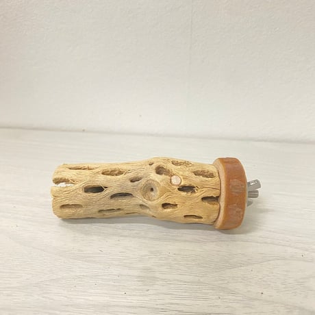カクタスパーチ極小サイズ3本セット 直径（約2-3cm）長さ：10.5cm／8.5cm／9.5cm　⑬