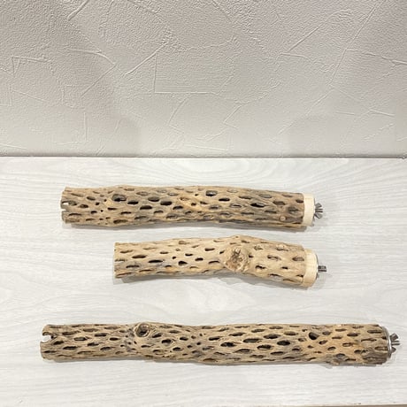 【tmaimai1212様専用】カクタスパーチ 極小30cm 小18cm/26cm