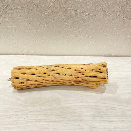 カクタスパーチ【I】直径4~5cm/長さ20cm