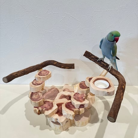 ツタと貝塚伊吹の螺旋階段アスレチック【インコのおもちゃ・自然木のとまり木】バードアスレチック