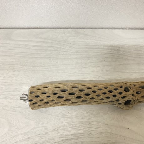 ケージサイズカクタスパーチ 極小サイズ直径2-3cm HOEI465 ④