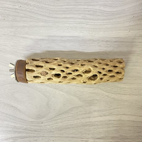 カクタスパーチ① 小サイズ 直径（約3.5cm）長さ/14.5cm