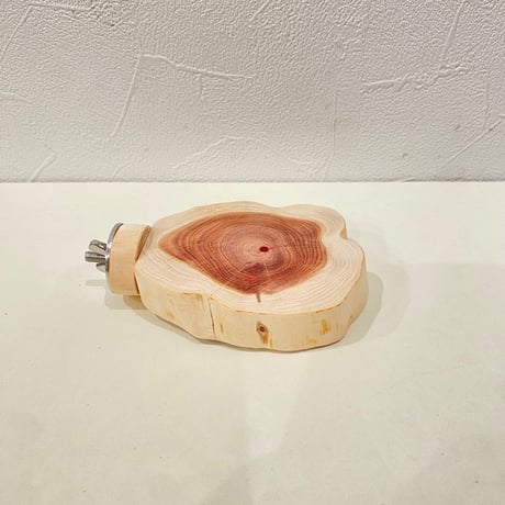 貝塚伊吹テーブルパーチ  ⑤