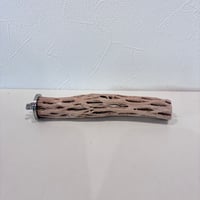 カクタスパーチ極小サイズ⑤ 直径2.5~3cm/長さ15cm【自然木 止まり木 バンブルフット 趾瘤症 】