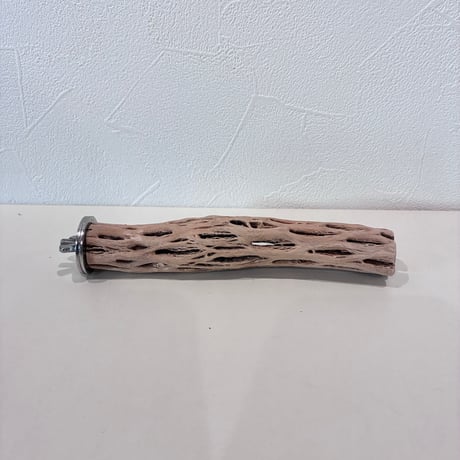 カクタスパーチ | STORES