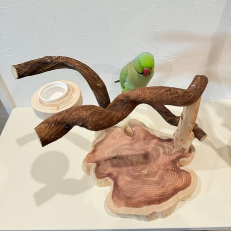 おやつ入れ付きツタのスタンドパーチ