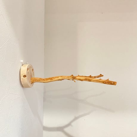 ピノキオの鼻 ①